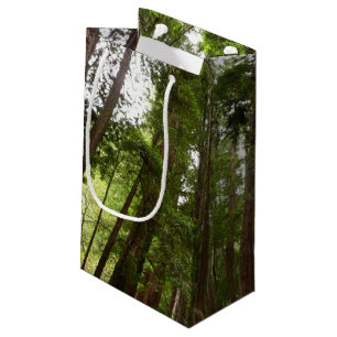 Up to Redwoods I at Muir Woods National Monument Small Gift Bag