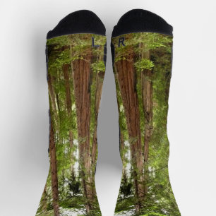 Up to Redwoods I at Muir Woods National Monument Socks