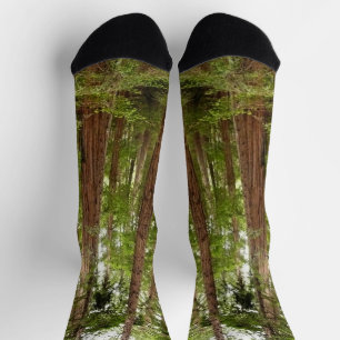 Up to Redwoods I at Muir Woods National Monument Socks