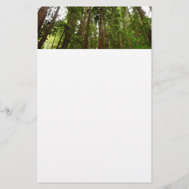 Up to Redwoods I at Muir Woods National Monument Stationery (Front)