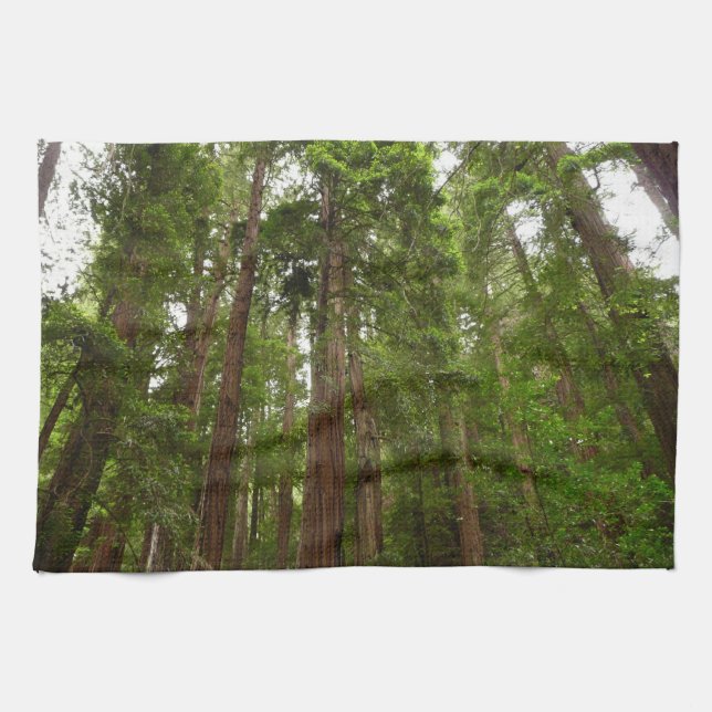 Up to Redwoods I at Muir Woods National Monument Tea Towel (Horizontal)