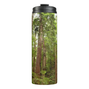 Up to Redwoods I at Muir Woods National Monument Thermal Tumbler