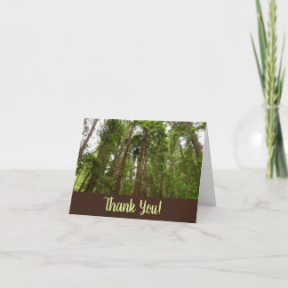Up to Redwoods I Thank You Card