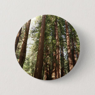 Up to Redwoods II at Muir Woods National Monument 6 Cm Round Badge