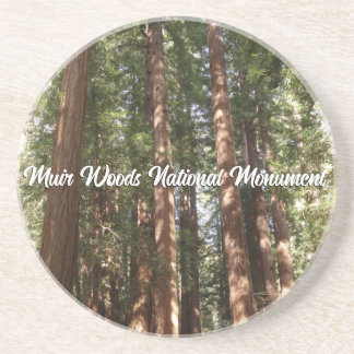 Up to Redwoods II at Muir Woods National Monument Coaster