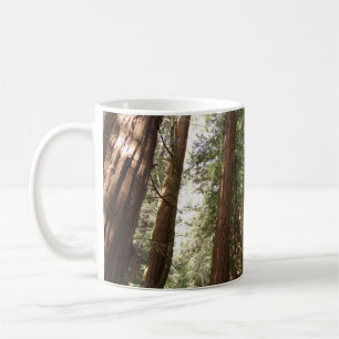 Up to Redwoods II at Muir Woods National Monument Coffee Mug