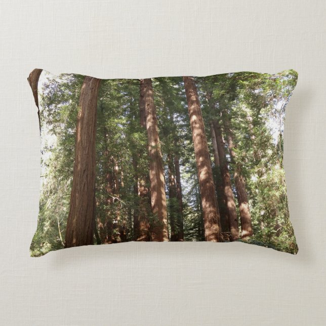 Up to Redwoods II at Muir Woods National Monument Decorative Cushion (Front)