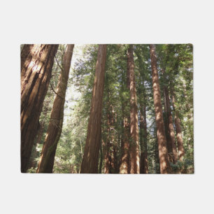 Up to Redwoods II at Muir Woods National Monument Doormat