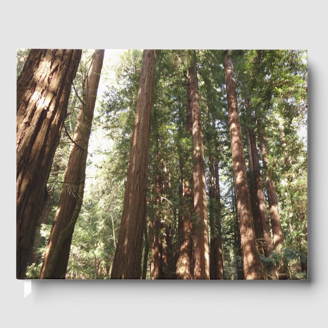 Up to Redwoods II at Muir Woods National Monument Guest Book (Front)