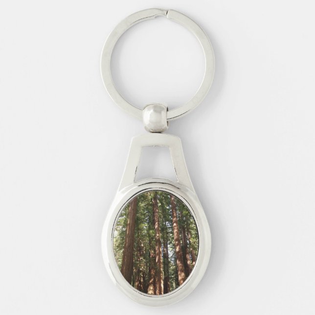 Up to Redwoods II at Muir Woods National Monument Key Ring (Front)