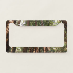 Up to Redwoods II at Muir Woods National Monument Licence Plate Frame