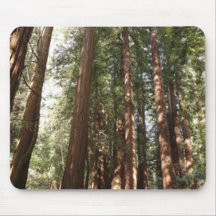 Up to Redwoods II at Muir Woods National Monument Mouse Mat
