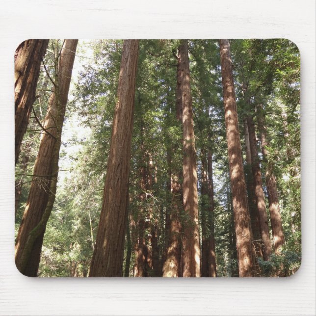 Up to Redwoods II at Muir Woods National Monument Mouse Mat (Front)