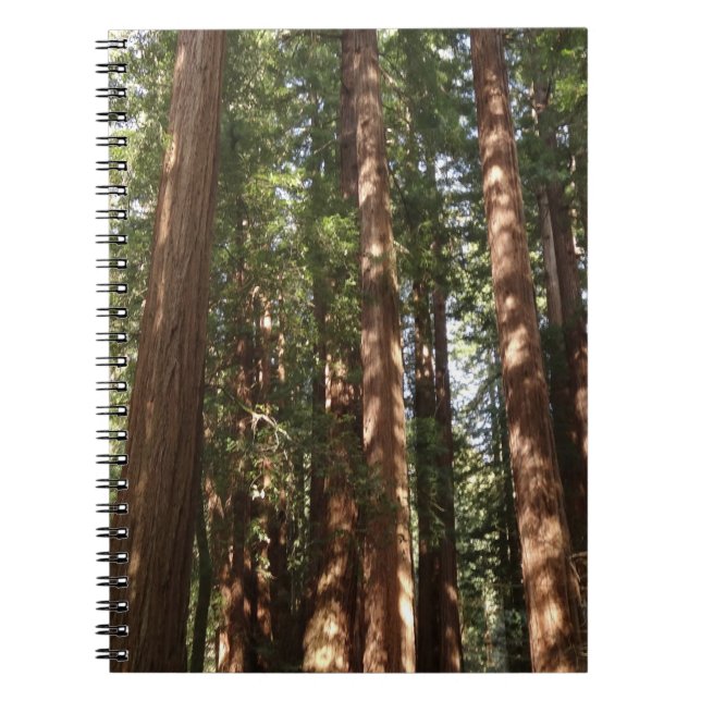 Up to Redwoods II at Muir Woods National Monument Notebook (Front)