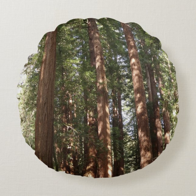 Up to Redwoods II at Muir Woods National Monument Round Cushion (Front)