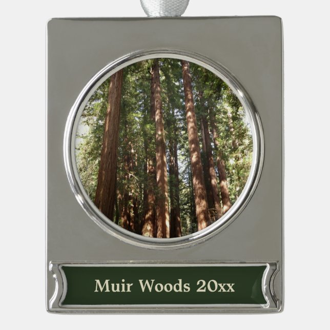 Up to Redwoods II at Muir Woods National Monument Silver Plated Banner Ornament (Front)