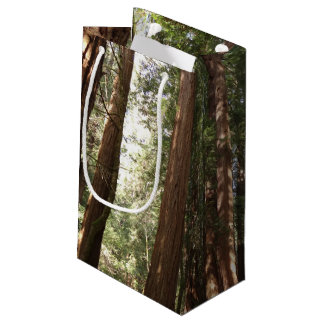 Up to Redwoods II at Muir Woods National Monument Small Gift Bag