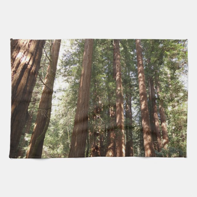 Up to Redwoods II at Muir Woods National Monument Tea Towel (Horizontal)