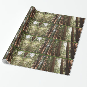 Up to Redwoods II at Muir Woods National Monument Wrapping Paper