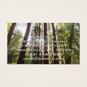 Up to Redwoods in the Morning