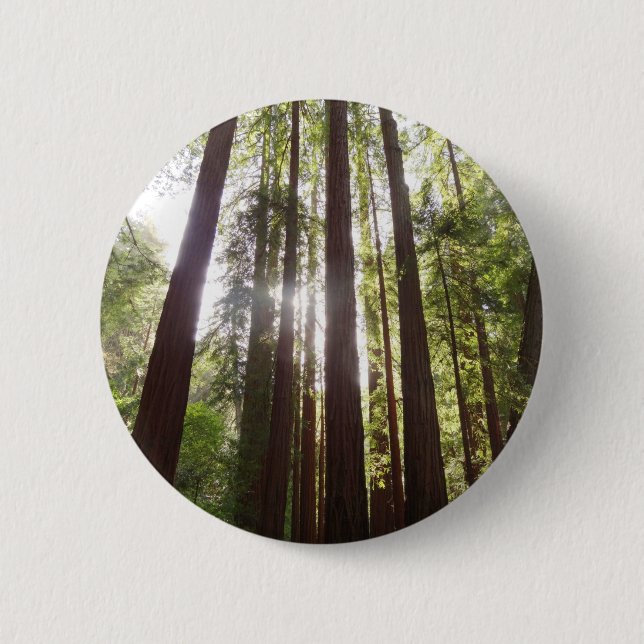 Up to Redwoods in the Morning 6 Cm Round Badge (Front)