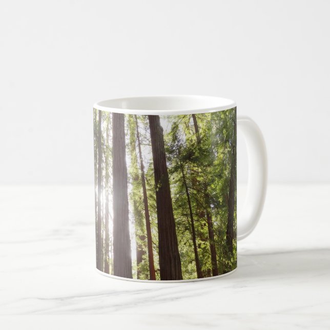 Up to Redwoods in the Morning Coffee Mug (Front Right)