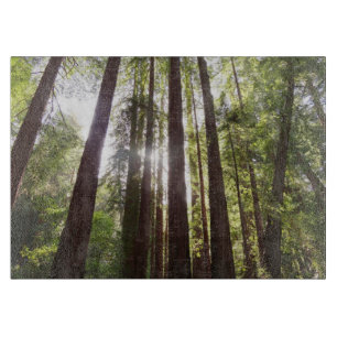 Up to Redwoods in the Morning Cutting Board