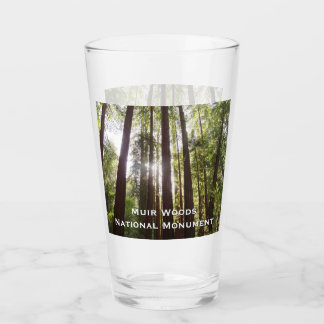 Up to Redwoods in the Morning Glass