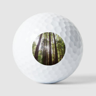 Up to Redwoods in the Morning Golf Balls