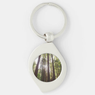 Up to Redwoods in the Morning Key Ring