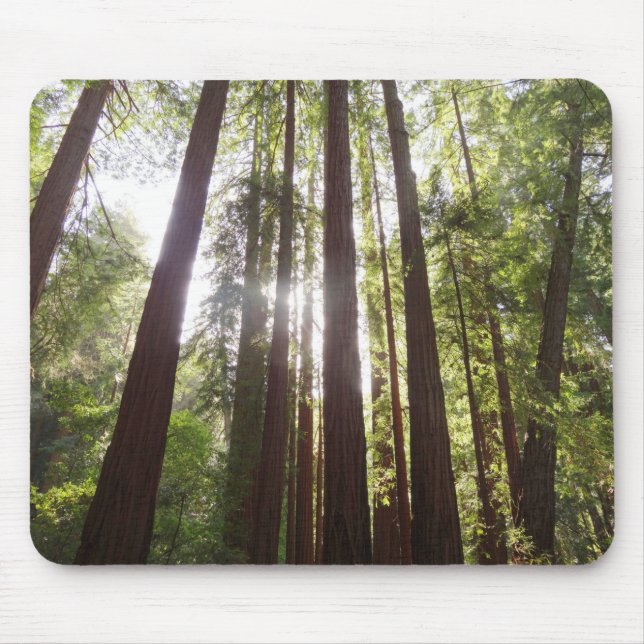 Up to Redwoods in the Morning Mouse Mat (Front)