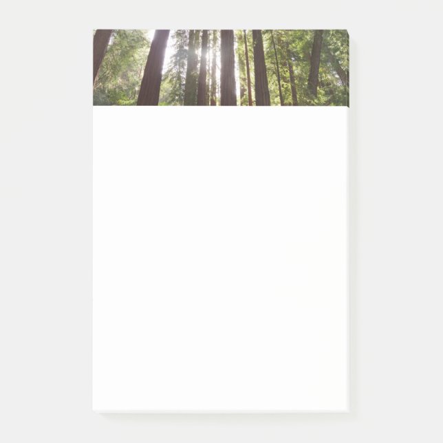 Up to Redwoods in the Morning Post-it Notes (Front)