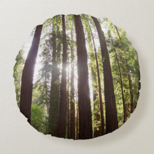 Up to Redwoods in the Morning Round Cushion