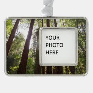 Up to Redwoods in the Morning Silver Plated Framed Ornament