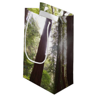 Up to Redwoods in the Morning Small Gift Bag