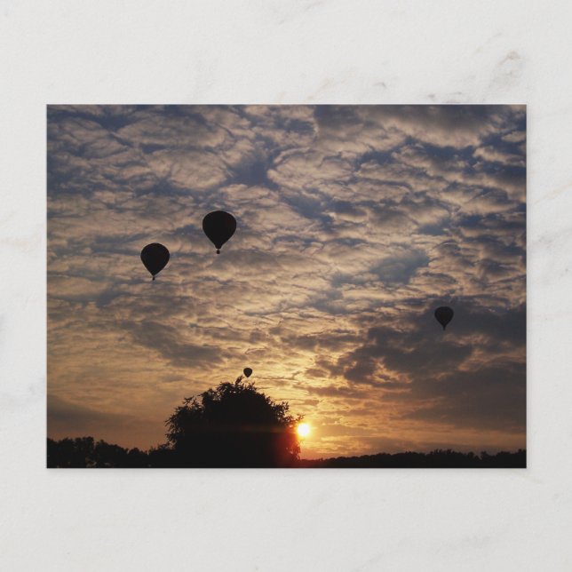 Up, Up, And Away.... Postcard (Front)