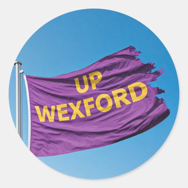 "Up Wexford" G.A.A. themed stckers Classic Round Sticker (Front)