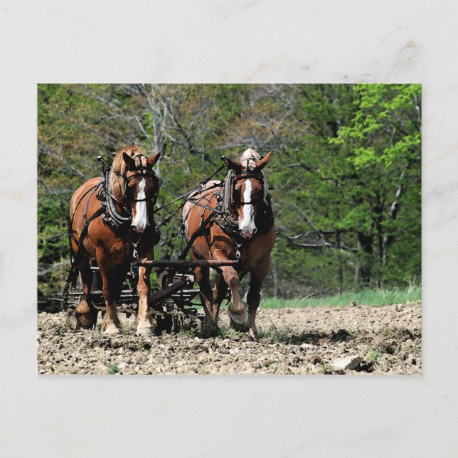 Uphill Postcard (Front)