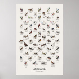 Upland Birds - Naturalist's Library Poster