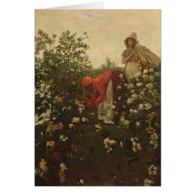 Upland Cotton (Front)