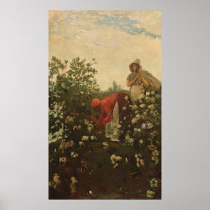 Upland Cotton Poster