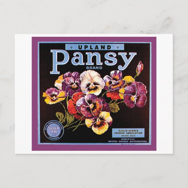 Upland Pansy VIntage Crate Label Postcard (Front)