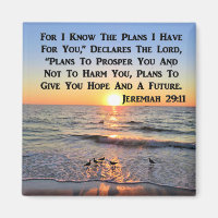 UPLIFTING JEREMIAH 29:11 SUNRISE