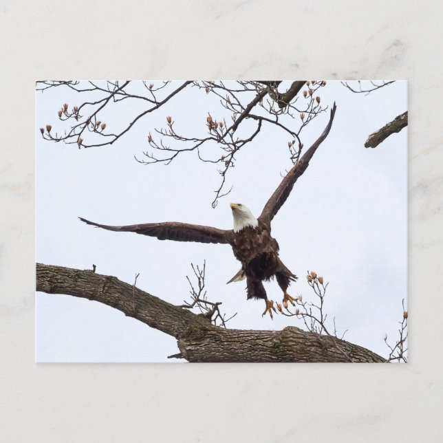 Uplifting Postcard (Front)