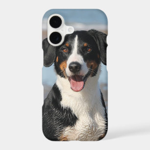 Upload Any Photo Pets or People to Your