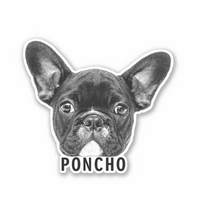 Upload Pet Face Photo & Name Customised Sticker (Front)