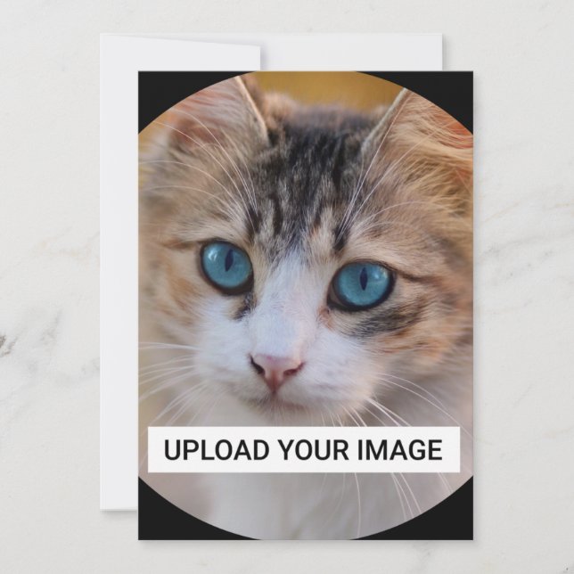 Upload Your Cute Cat Photo Invitation (Front)
