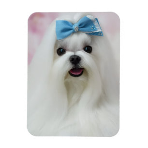 Upload Your Dog Photo Cute Fur Baby Magnet
