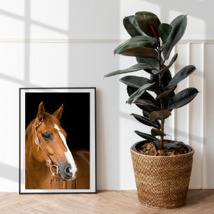 Upload Your Horse Photo Value Poster Paper (Matte)