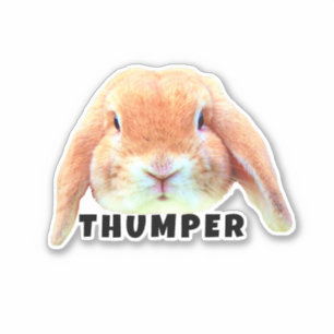 Upload Your Pet Bunny Face and Name Personalised